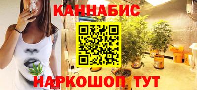 прущие крисы Можга