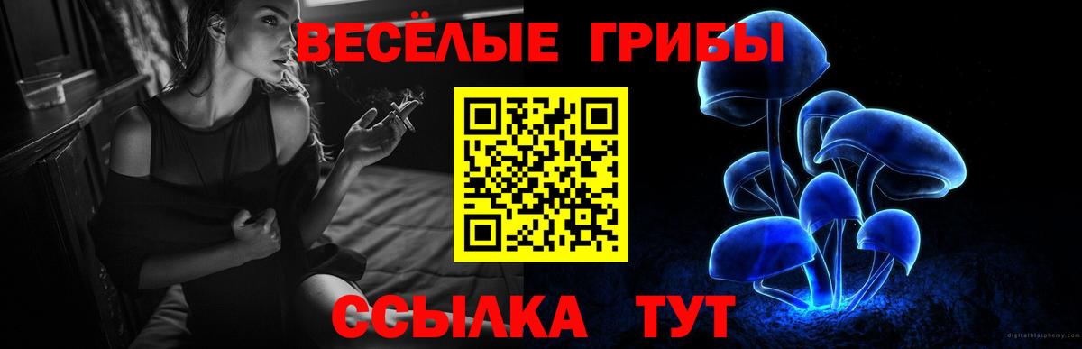 Псилоцибиновые грибы прущие грибы  Галлюциногенные грибы мицелий  Бийск  Вход с VPN 